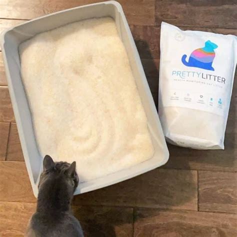 Magical kitty litter concoction